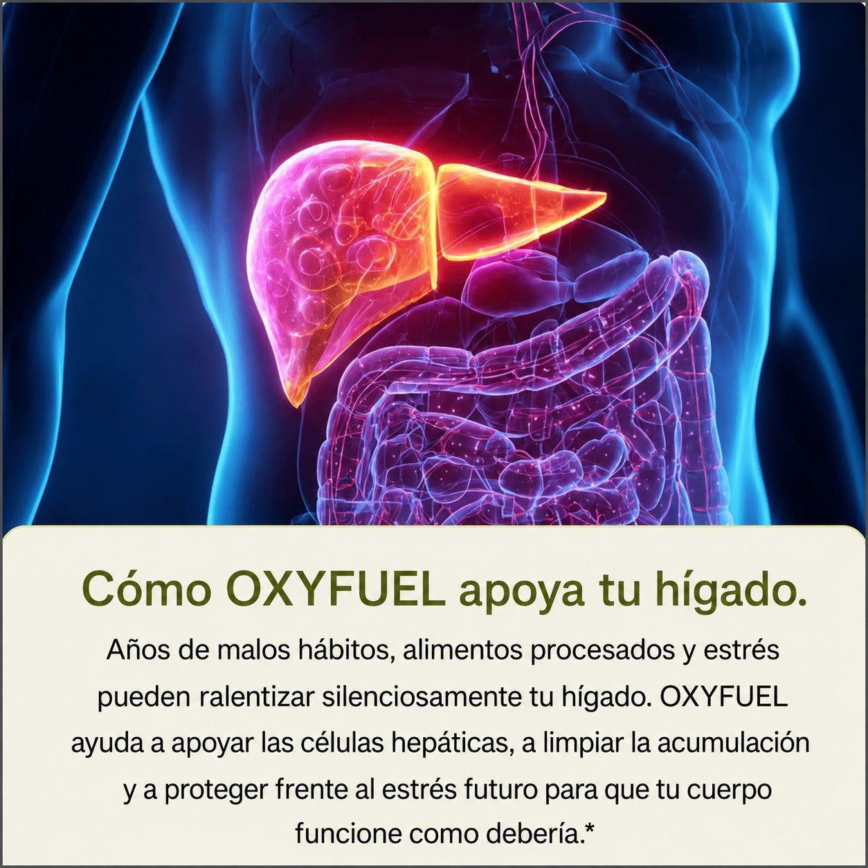 OXYFUEL Milk Thistle