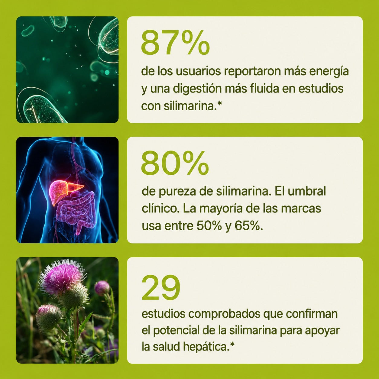 OXYFUEL Milk Thistle