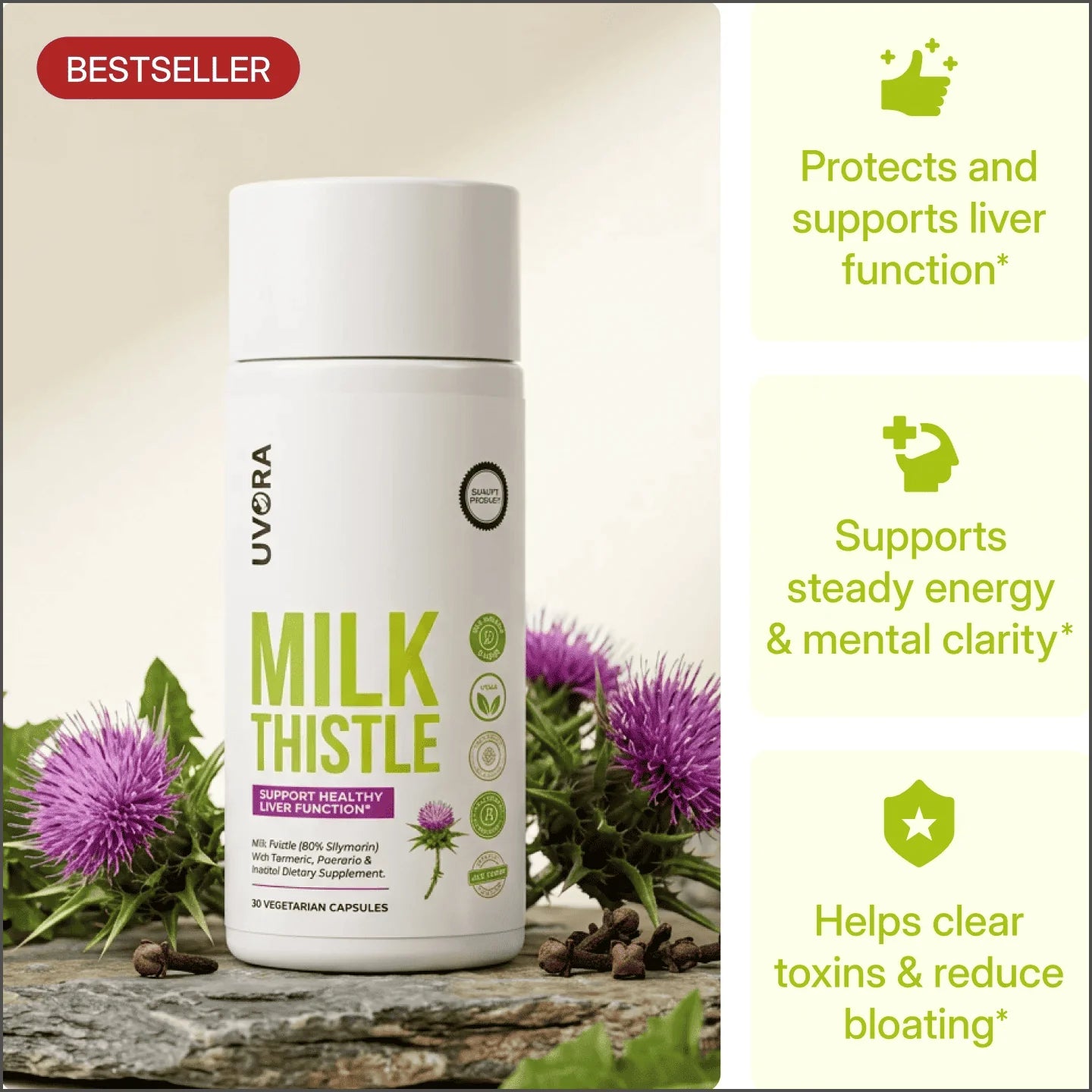 Milk Thistle